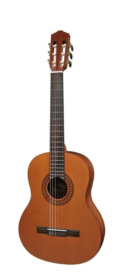 Salvador Cortez CC-22 Klassisk Guitar Nylon Strenge Musiklageret Viborg